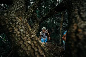 BIB: 
                            <button type="button" onclick="openModal(25679982)" class="btn btn-primary btn-sm float-right btn-popup" data-toggle="modal" data-target=".modal-high-quality">
                        <i class="fas fa-shopping-cart"></i> Add to Cart
                    </button>
                                            <button type="button" onclick="isThisMe(25679982, true)" class="btn btn-success btn-sm float-right btn-popup btn-isme hidden" data-toggle="tooltip" data-placement="bottom" title="นี่คือรูปของคุณใช่ไหม คลิกที่นี่เพื่อเอาเข้าอัลบั้ม">
                        <i class="fas fa-plus"></i> Add to album
                    </button>
                    <button type="button" onclick="isThisMe(25679982, false)" class="btn btn-warning btn-sm float-right btn-popup btn-isnotme hidden">
                        <i class="fas fa-ban"></i> Remove from album
                    </button>